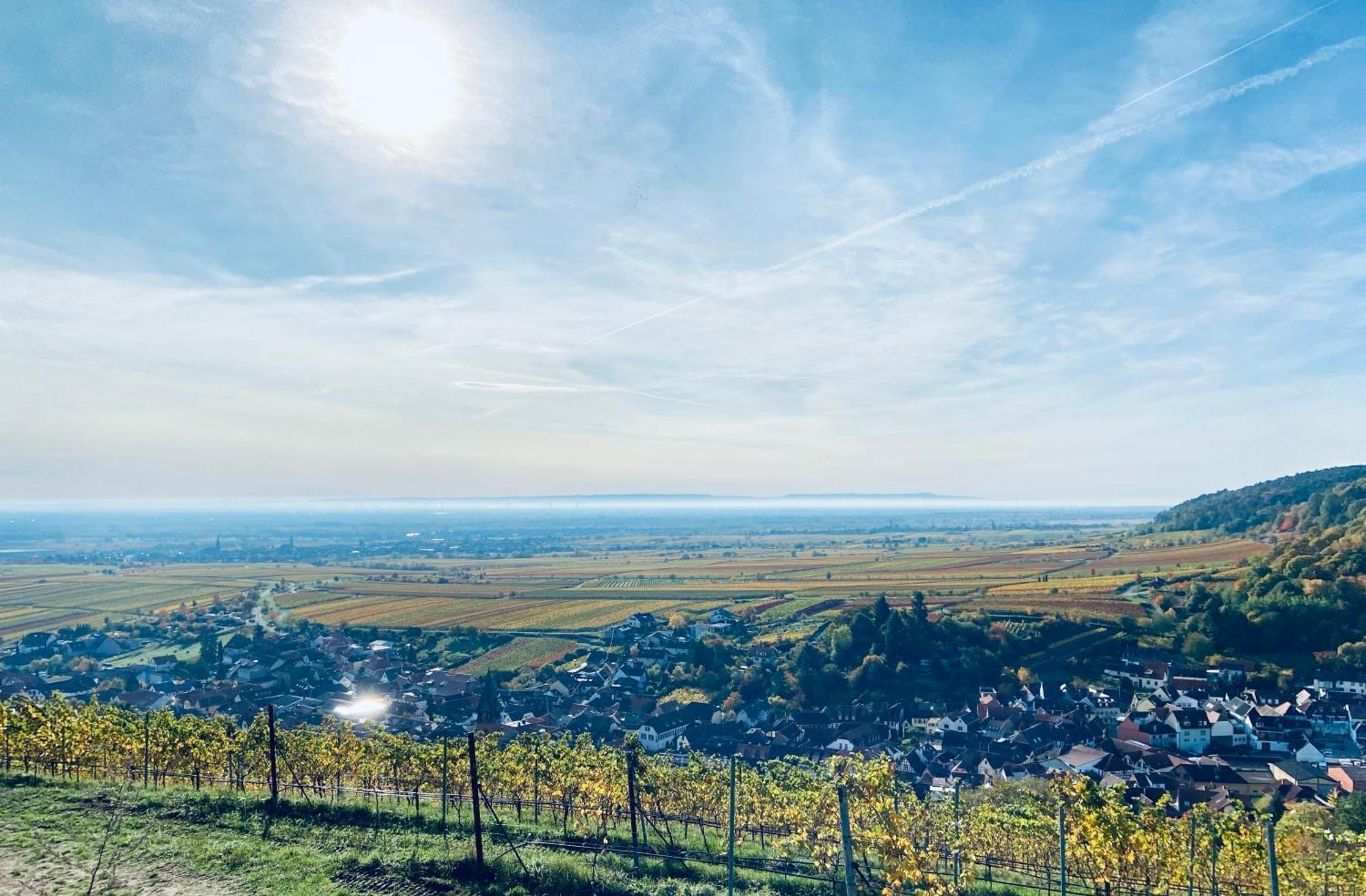 Halbstueck - Ferienwohnungen Am Kropsbachpark Sankt Martin Luaran gambar